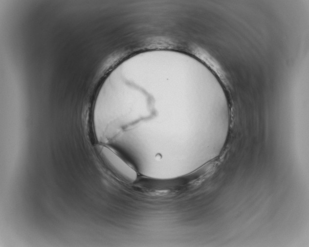 X0000108480058200905011210