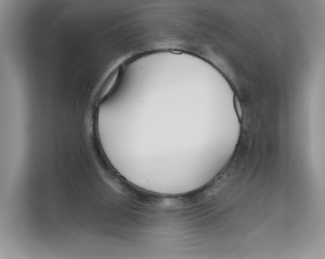 X0000108480060200905011210