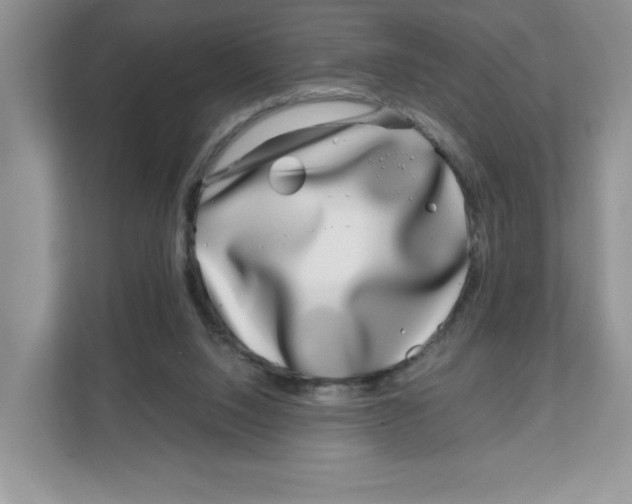 X0000108480064200905011210