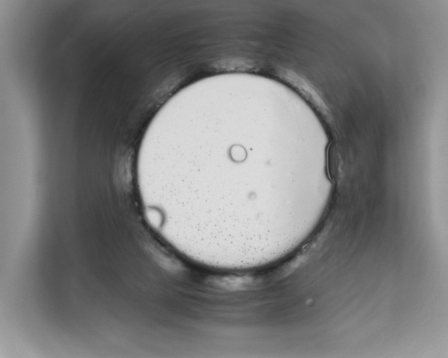 X0000108480065200905011210