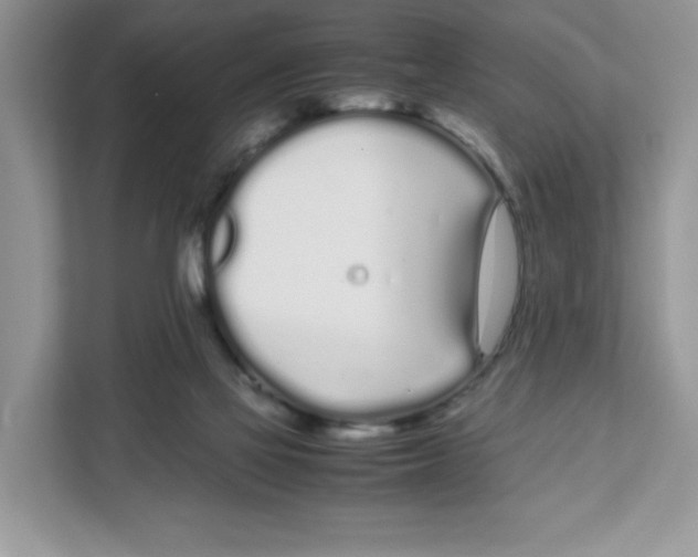 X0000108480069200905011210