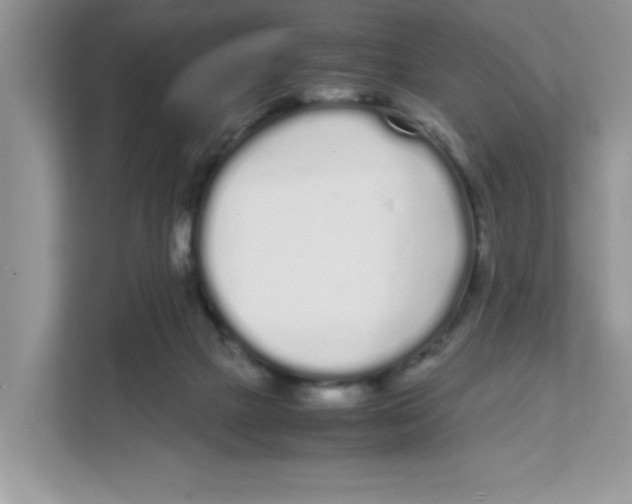 X0000108480073200905011210