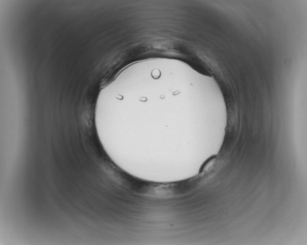 X0000108480078200905011210