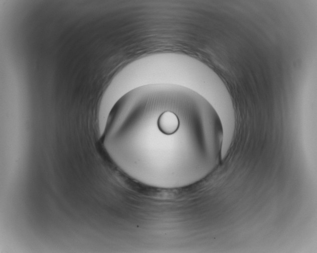 X0000108480080200905011210