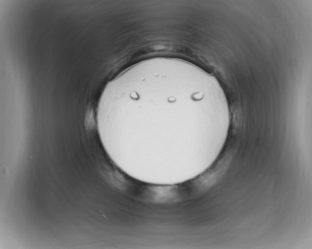 X0000108480089200905011210