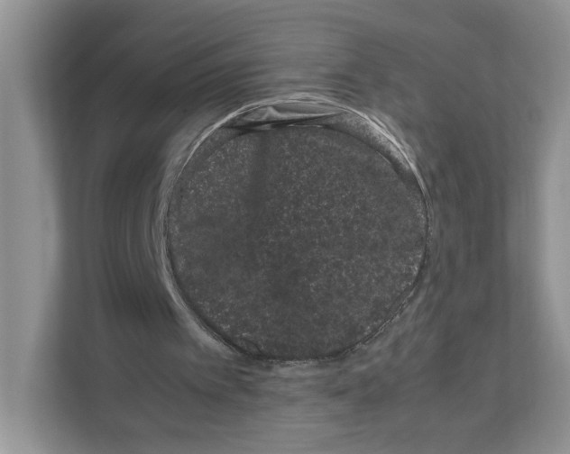 X0000108480097200905011210
