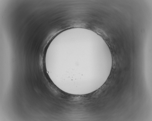 X0000108480098200905011210