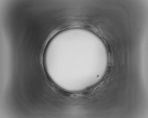 X0000108480099200905011210