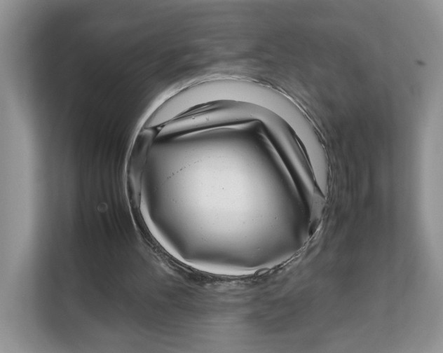 X0000108480100200905011210