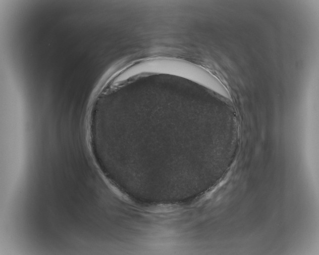 X0000108480101200905011210