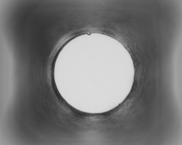 X0000108480103200905011210