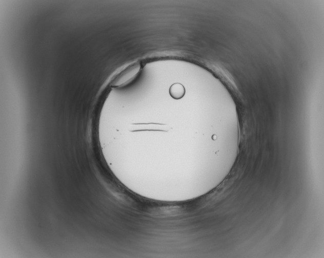 X0000108480108200905011210