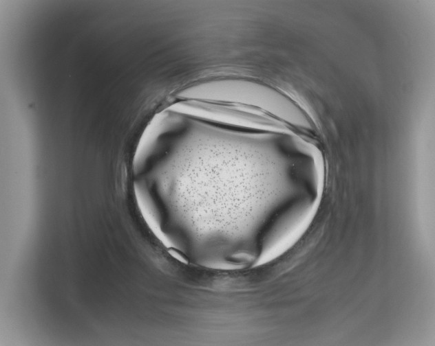 X0000108480109200905011210