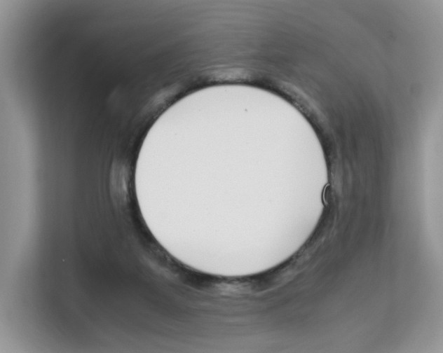 X0000108480115200905011210
