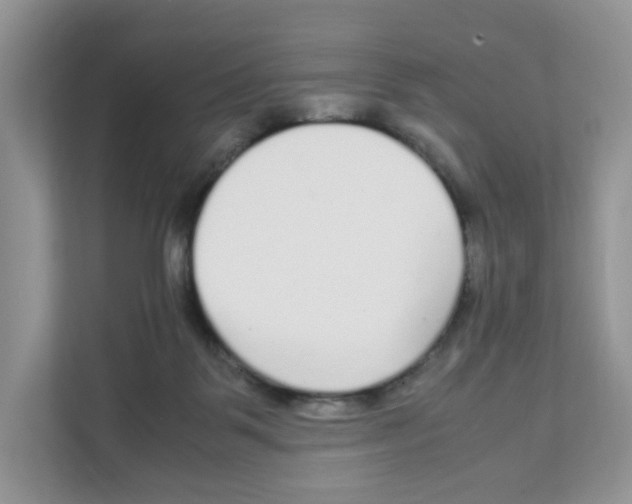 X0000108480123200905011210