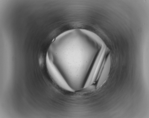 X0000108480124200905011209