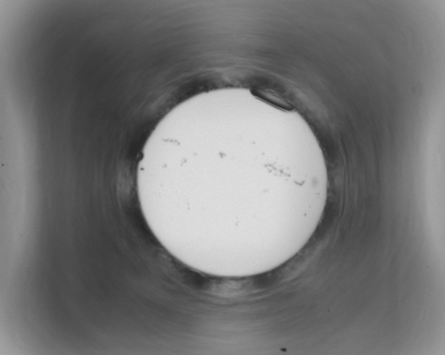 X0000108480129200905011209