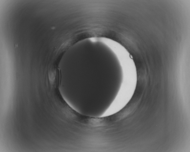 X0000108480139200905011209