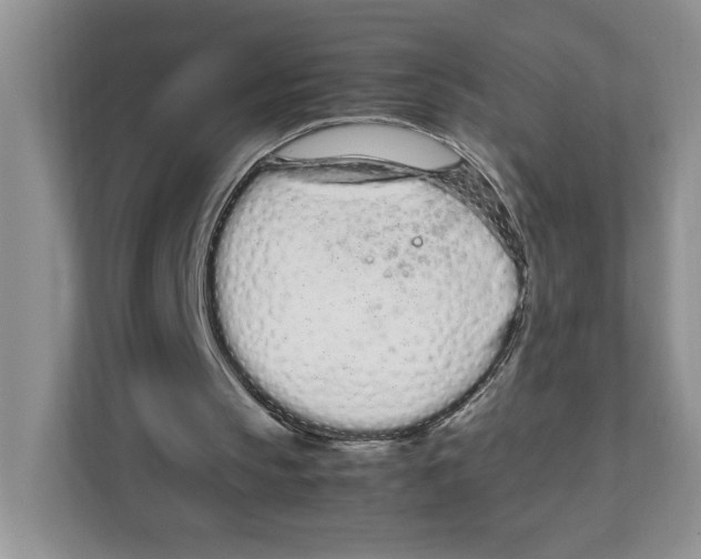 X0000108480145200905011209
