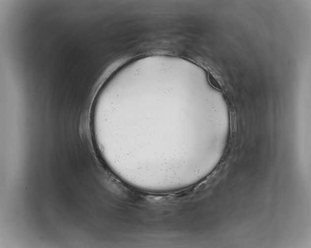 X0000108480147200905011209
