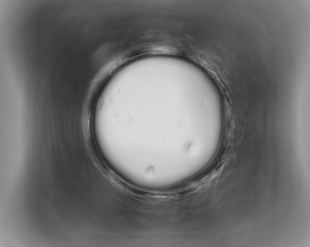 X0000108480149200905011209