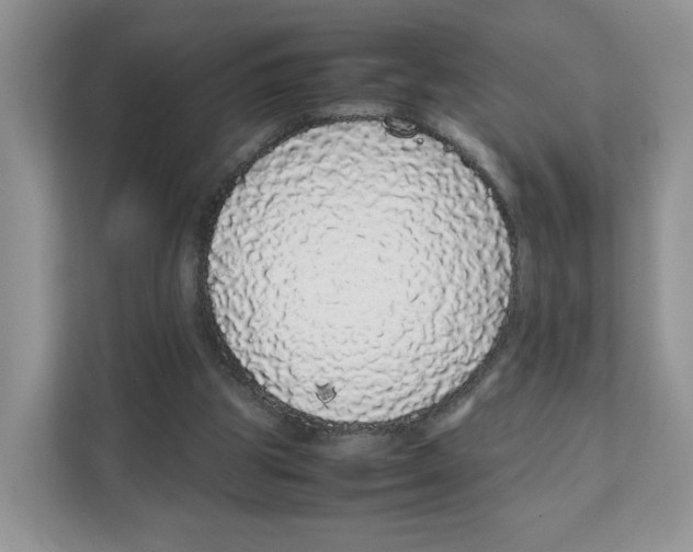 X0000108480153200905011209