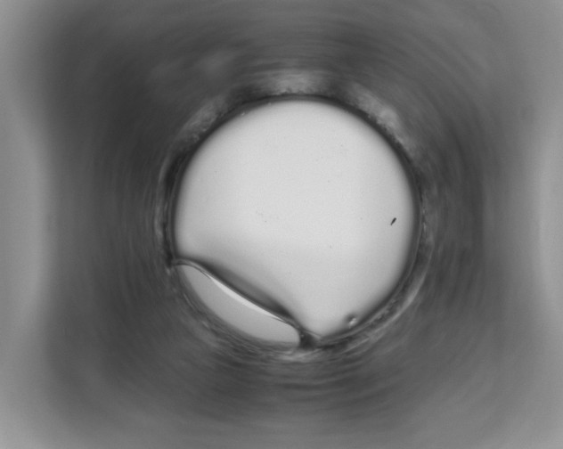 X0000108480161200905011209