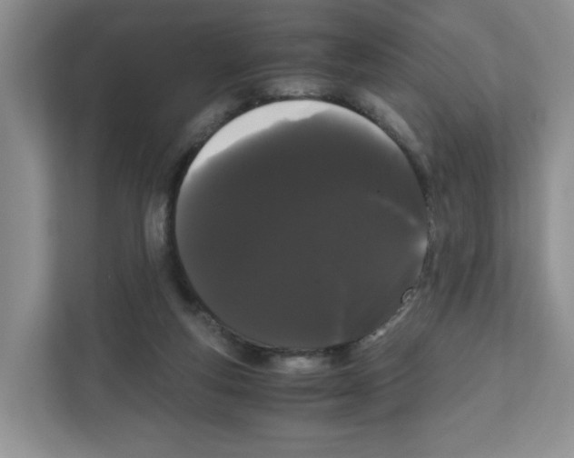 X0000108480163200905011209