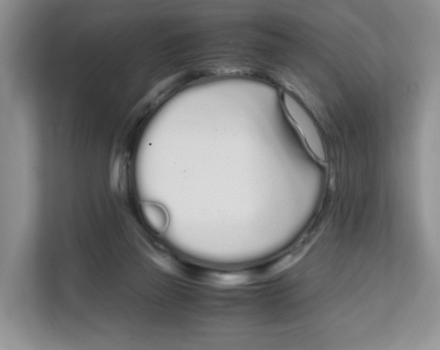 X0000108480165200905011209