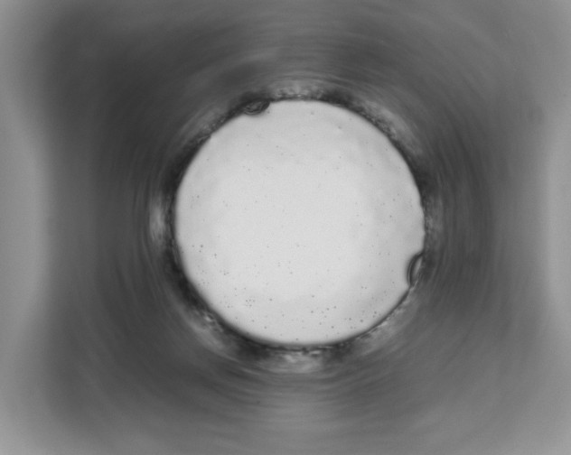 X0000108480166200905011209