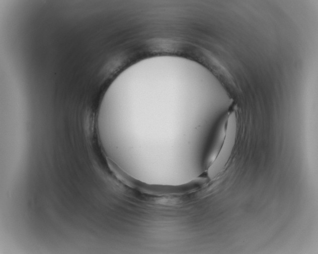 X0000108480168200905011209