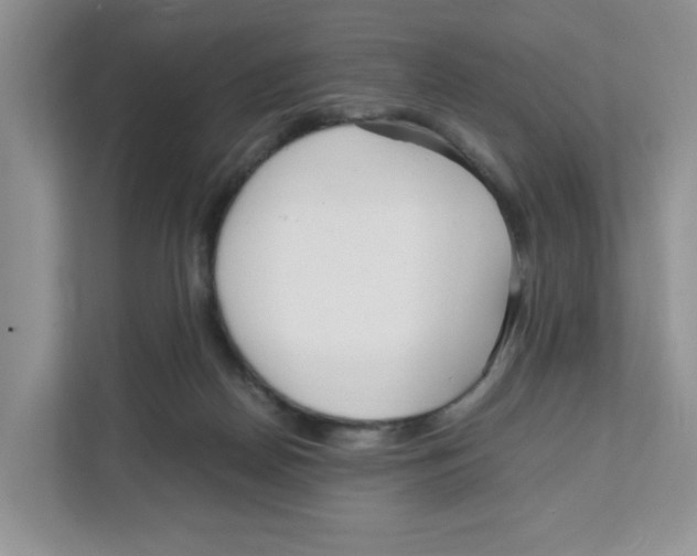 X0000108480170200905011209