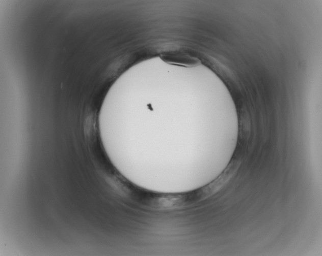 X0000108480172200905011209