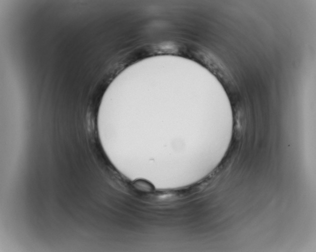 X0000108480173200905011209