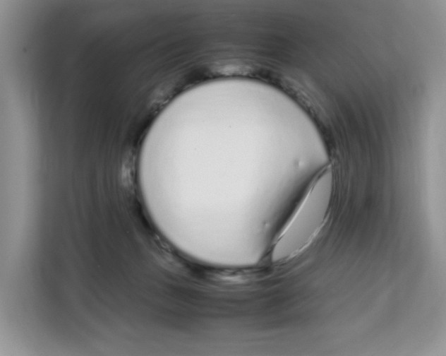 X0000108480175200905011209