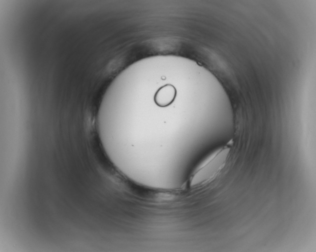 X0000108480176200905011209