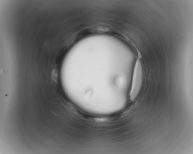 X0000108480177200905011209