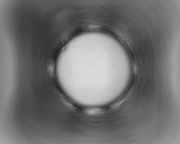 X0000108480181200905011209