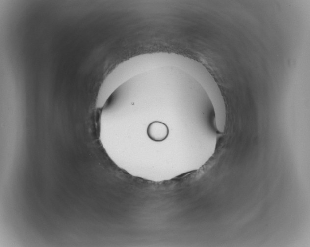 X0000108480192200905011209