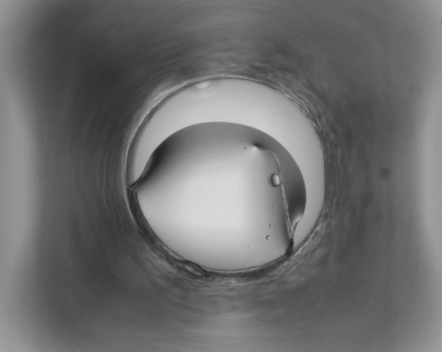 X0000108480195200905011209