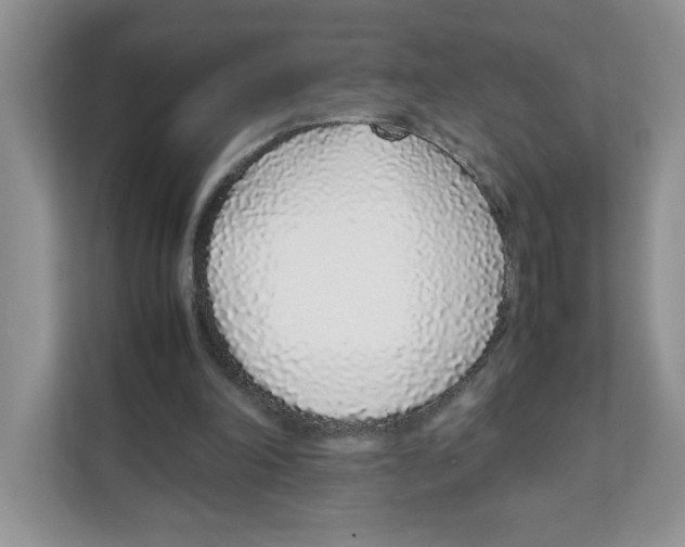 X0000108480198200905011209