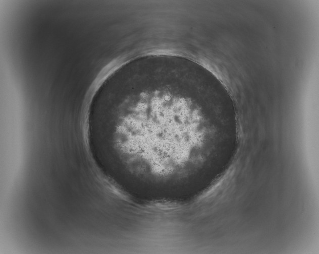 X0000108480199200905011209