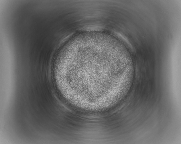 X0000108480202200905011208