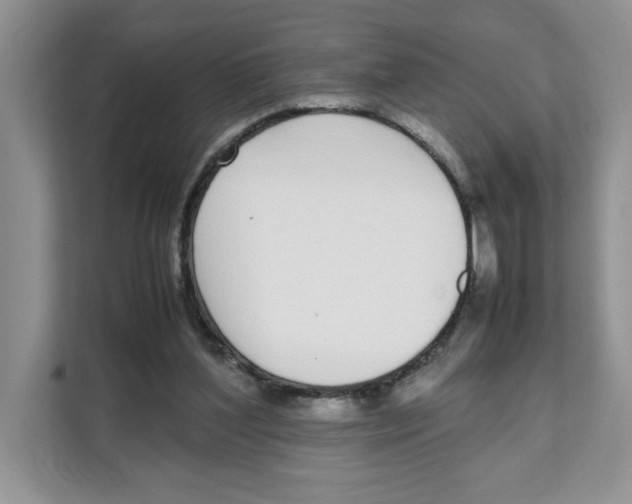 X0000108480204200905011208