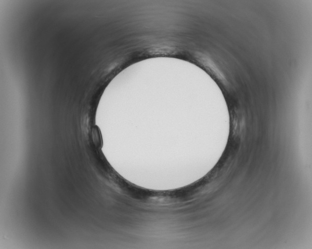 X0000108480211200905011208