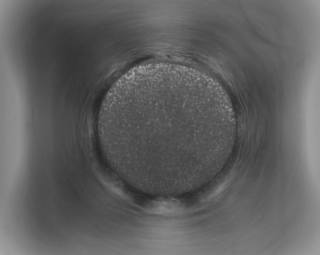 X0000108480215200905011208