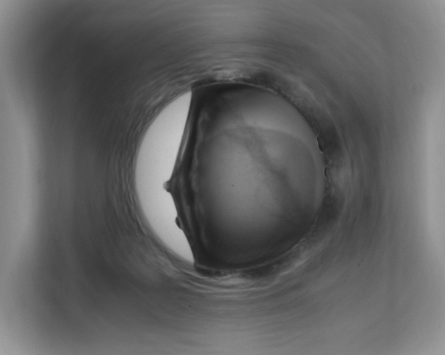 X0000108480219200905011208