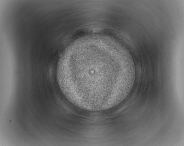X0000108480222200905011208