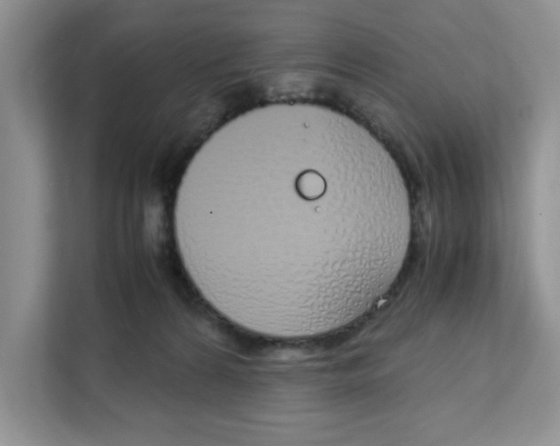 X0000108480224200905011208