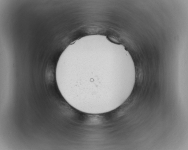 X0000108480226200905011208